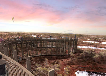 Woven Timber Pathway Enhances Accessibility and Connection Within Wetland Ecosystem