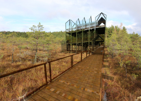 Elevated Observation Platforms Crafted with Spruce and Polycarbonate Overlooking Delicate Bog Ecosystems  
