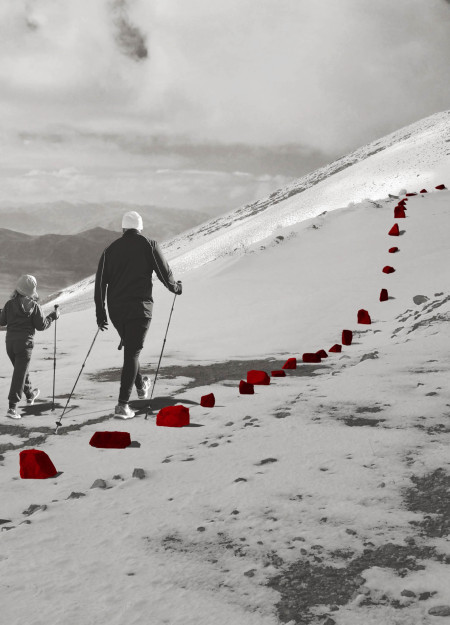 Crimson Pathways Through Volcanic Stone Landscape With Eco-Friendly Steel Framework