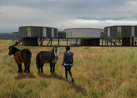 Salt-Infused Spaces With Natural Timber Cladding and Flexible Living Solutions  