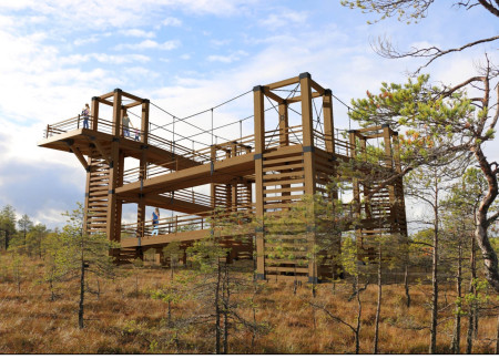 Charred Wooden Shingles and Suspended Steel Cables Shaping Accessible Viewing Platforms in a Natural Landscape