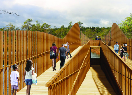 Meandering Pathways Through Vertical Timber Slats and Scenic Pause Points