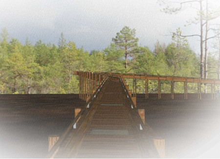 Elevated Timber Walkways Engaging Nature Through Sustainable Steel Construction
