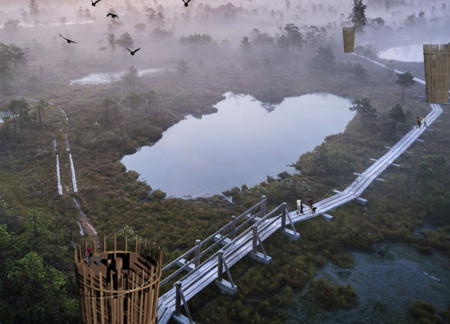 Timber Elevation Informed By Wetlands Using Rack-and-Pinion Accessibility Design