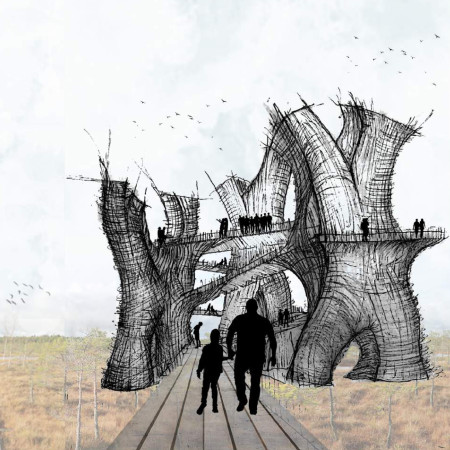 Charred Wooden Shingles and Cross-Laminated Timber Elevate Birdwatching Experience in Nature Reserve