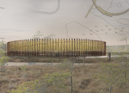 Elevated Paths of Cross-Laminated Timber Panels in a Wetland Observation Space