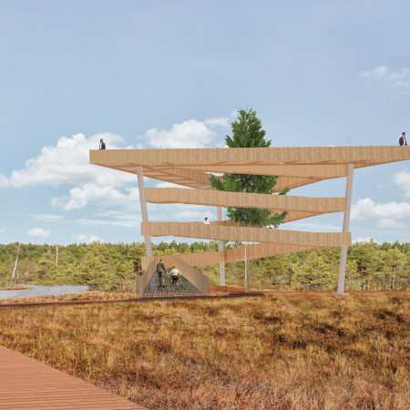 Living Tree Encased in Cross-Laminated Timber Frames Overlooking Scenic Wetlands  