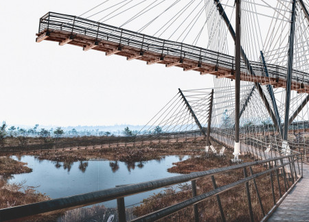 Elevated Pathway Crafted From Recycled Timber With Steel Supports Enhancing Natural Vistas