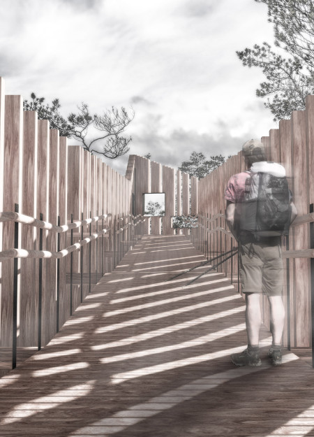 Elevated Observation Path Constructed with Modular Timber Cladding Integrating Natural Landscape Views  