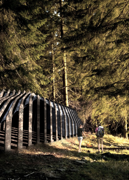 Translucent Canopy Structures Composed of Laminated Timber Panels for Sustainable Cyclist Shelters