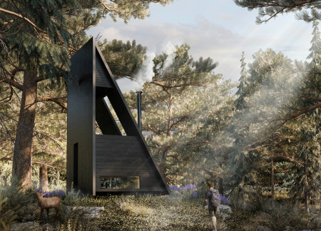 Residential retreat featuring cross-laminated timber and an asymmetrical roof within a forest setting