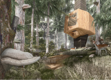 Elevated Cabins Incorporating Hemp Insulation and Laminated Wood in a Serene Forest Setting