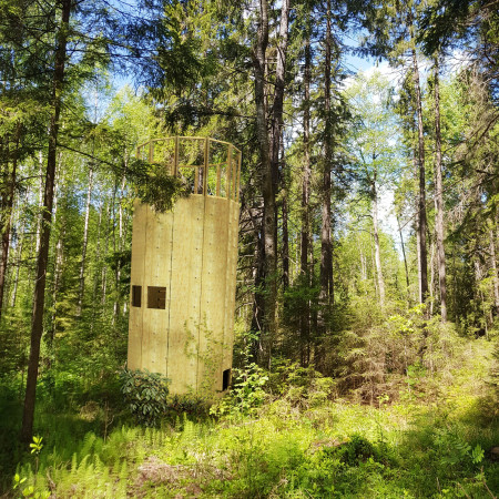 Meditation Retreat Featuring Cross-Laminated Timber and Charred Wood Elements in a Harmonious Forest Setting  