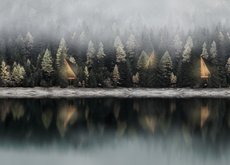 Symbiotic Shelter Crafted From Pine Wood With Elevated Habitat Wall In A Serene Forest Setting