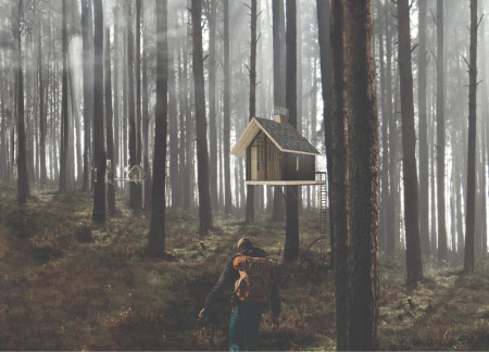 Meditation Cabin Featuring Cross-Laminated Timber and Charred Wooden Shingles in a Forest Setting  