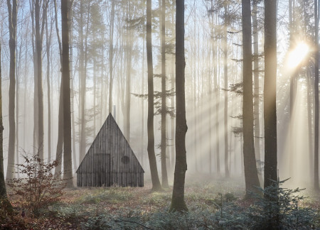 Embracing Nature Through Circular Windows and Vertical Timber Cladding in a Minimalist Retreat