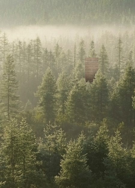 Charred Wooden Shingles and Cross-Laminated Timber Panels in an Elevated Forest Retreat