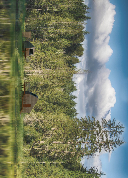 Charred Wooden Shingles and Cross-Laminated Timber Create a Sanctuary for Reflection  