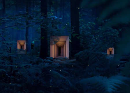 Charred Wood Cabin Embracing Seasonal Adaptation in a Forest Setting  