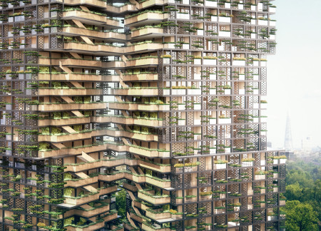 Charred Wooden Shingles and Cross-Laminated Timber Create a Sustainable Urban Habitat