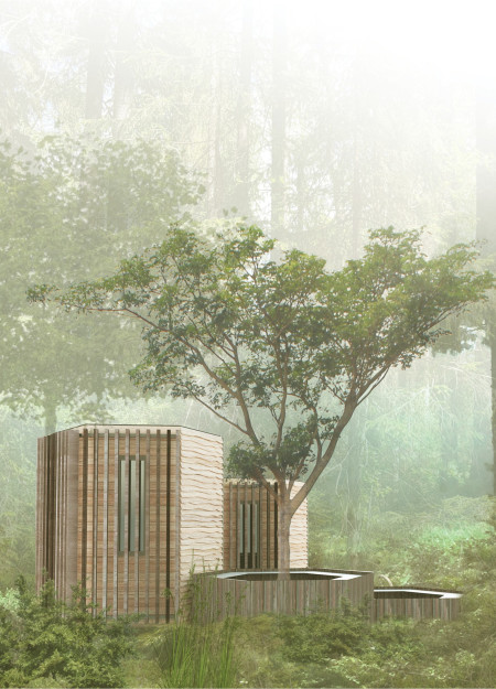 Charred Wood Shingles and Cross-Laminated Timber Create a Harmonious Forest Retreat