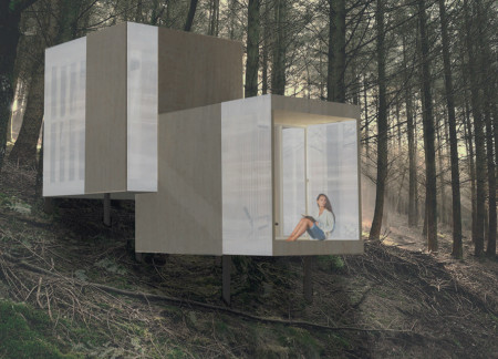 Translucent Polycarbonate Panels and Modular Birch Cladding in a Flexible Living Space