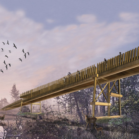 Canopy Bridge Constructed With Locally Sourced Timber and Piezoelectric Technology Enhancing Ecological Engagement