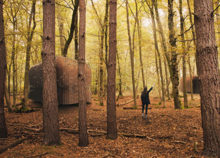 Charred Wooden Shingles and Triangular Form Create Vibrant Community Space with Sustainable Materials  