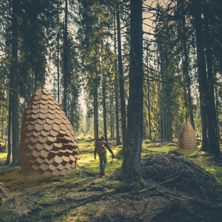 Hexagonal Thermo-Wood Retreat Embracing Forest Immersion and Natural Light