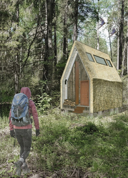 Cross-Laminated Timber Retreat Embracing Natural Elements Within a Forested Landscape