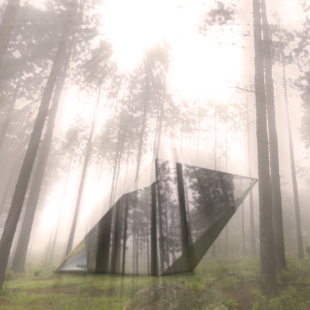 Reflective Surfaces and Pinewood Structures in a Mindful Retreat Environment