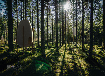 Mycelium Construction with Organic Shapes for Tranquil Forest Living