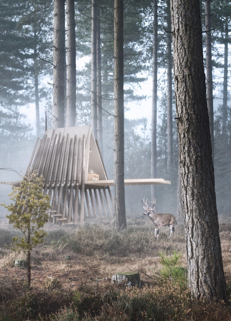 Elevated Meditation Retreat Crafted From Natural Wood and Tent Fabric Overlooking Serene Forest Views
