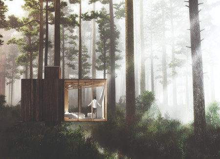 Elevated Timber Cabins Featuring Glass Walls for Meditative Retreats
