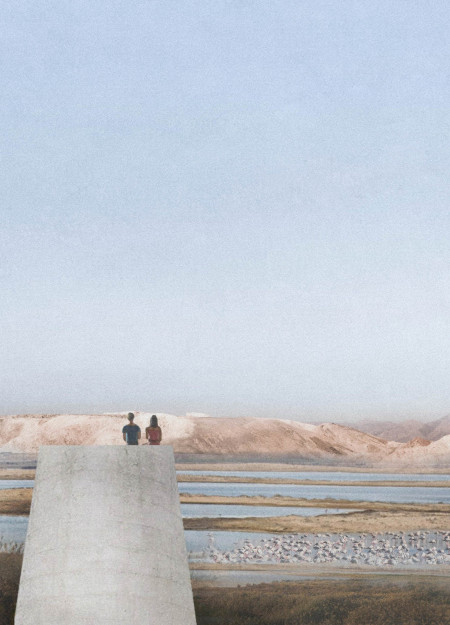 Cylindrical Flint Tower Embracing Nature Through Sustainable Design in Al Wathba Wetlands