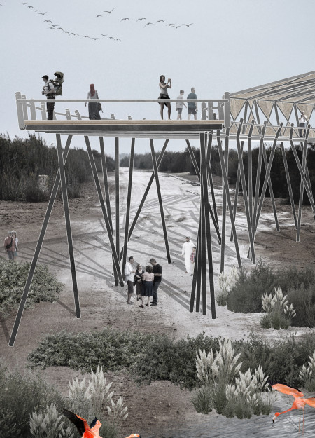 Elevated Observation Platforms Crafted From Sustainable Steel and Timber in a Wetland Habitat  