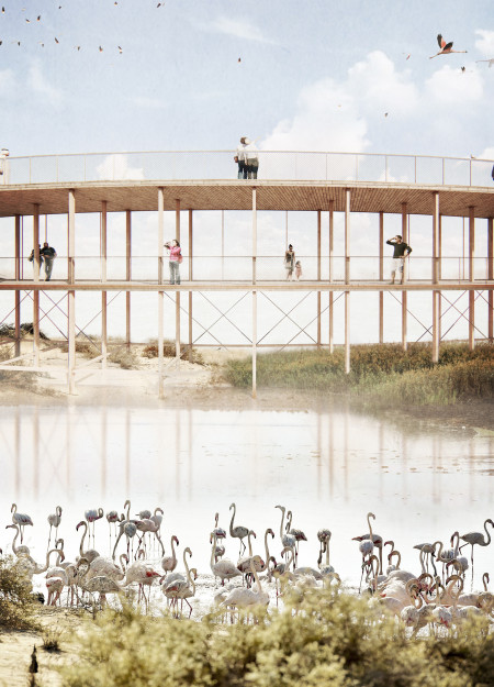 Sustainable Lapacho Wood Pathways Elevate Environmental Observation Spaces in Brazilian Wetlands