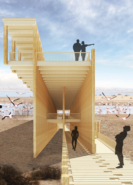 Cross-Laminated Timber Form Inspired by Natural Wildlife Habitat