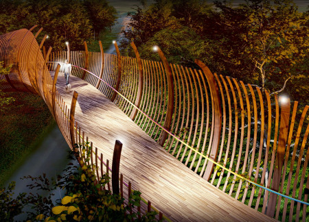 Curved Timber Footbridge Enhancing Biodiversity Through Natural Integration