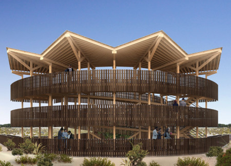 Reed-Lined Observation Decks Merging Curvilinear Forms With Sustainable Timber at a Wetland Facility