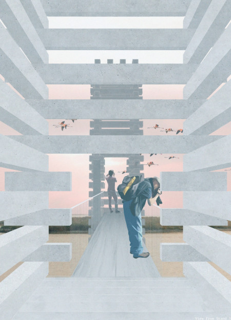 Composite Bamboo Towers Offering Elevated Perspectives in A Wetland Reserve  