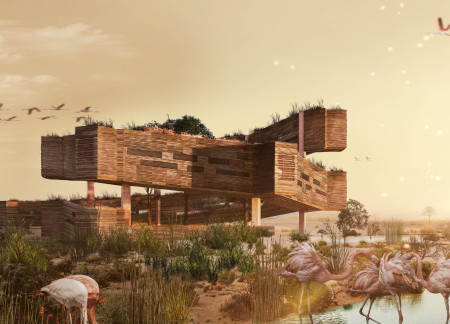 Curvilinear Pavilion Constructed with Cross-Laminated Timber and Green Roof for Avian Observation