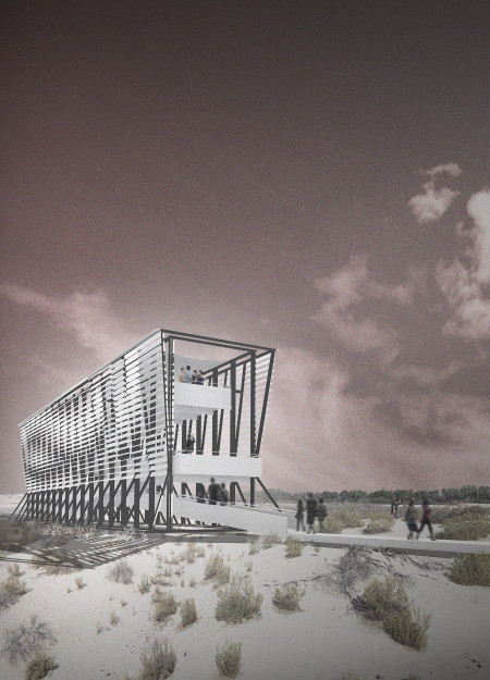 Bleached Wood Pathways Merging With Wetlands for Engaging Nature Observation