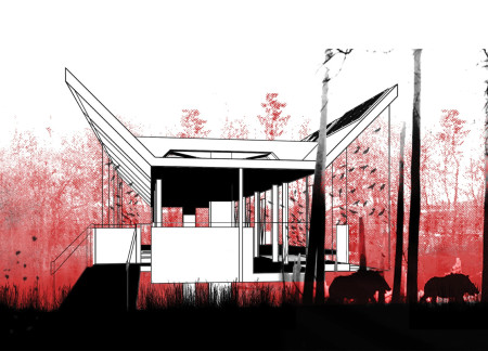 Cross-Laminated Timber Bridges Enhancing Pedestrian Connectivity in A Nature Reserve  