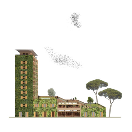 Living Structures Enhanced by Cross-Laminated Timber and Green Facades in an Urban Community Setting