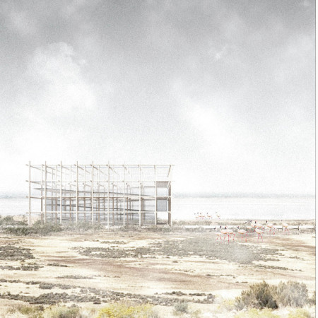 Elevated Observation Tower Featuring Timber Framework and Protective Mesh in a Wetland Ecosystem