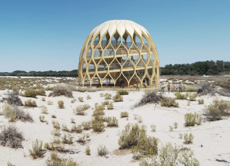 Elevated Observation Platform Crafted from Cross-Laminated Timber Overlooking Ecological Wetlands  