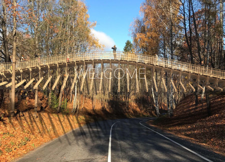 Curved Structure of Cross-Laminated Timber Panels Enhanced by Charred Wooden Shingles Integrating Pedestrian Connectivity  