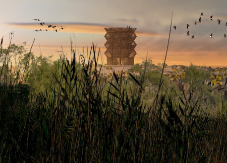 Wooden Planks And Smart Mirrors Elevate Sustainable Observation In A Desert Wetland  
