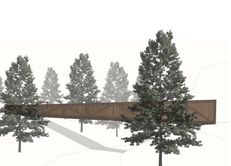 Elevated Timber Pathway with Glass Elements Enhancing Visitor Experience in a Natural Park